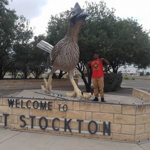 Meet your Posher, Alfred